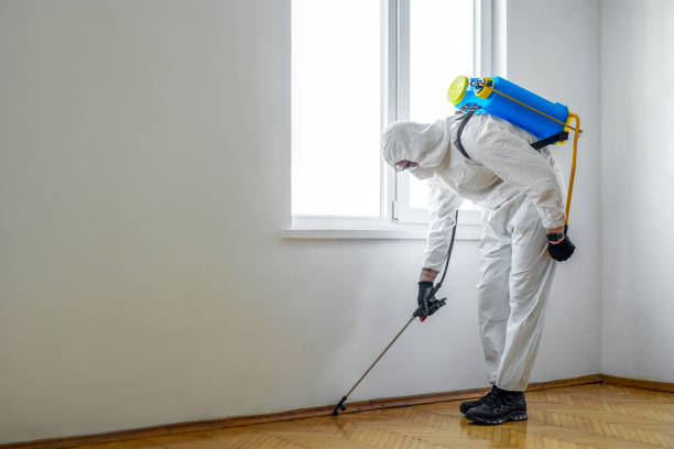 Best Commercial Pest Control  in Colonial Heights, VA